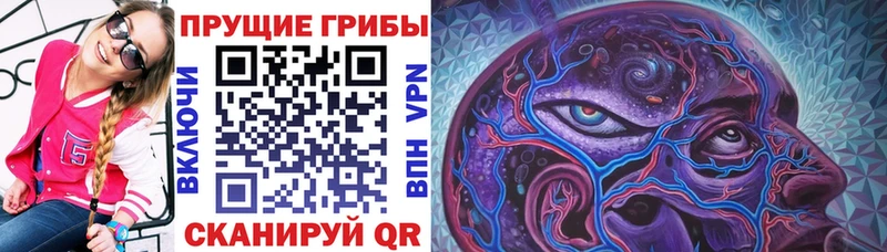 Псилоцибиновые грибы мухоморы kraken маркетплейс Покровск наркотики
